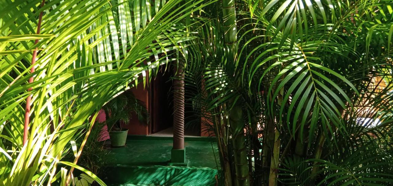 Sigiri Heritage Villa Sigirîya Extérieur photo