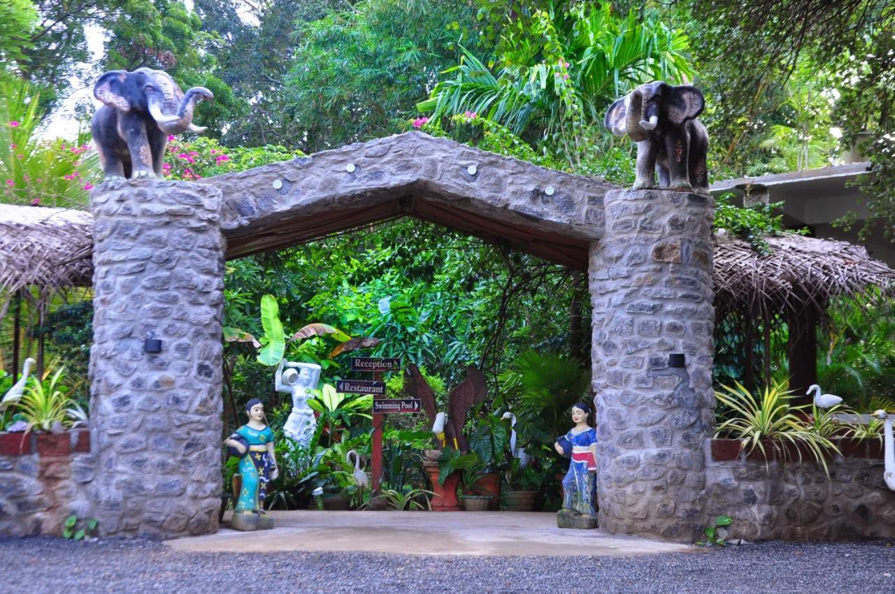 Sigiri Heritage Villa Sigirîya Extérieur photo