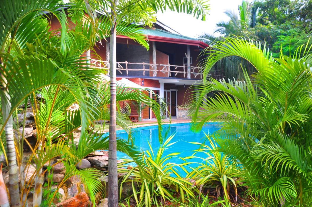 Sigiri Heritage Villa Sigirîya Extérieur photo
