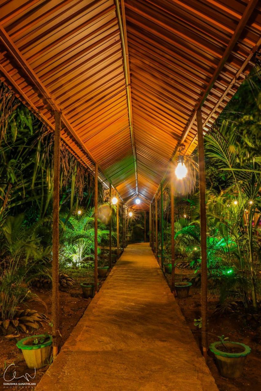 Sigiri Heritage Villa Sigirîya Extérieur photo